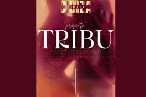 Spectacle de danse – Danza “Tribu”