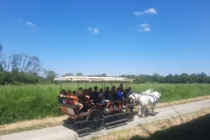 Fête au coeur des prairies du Fouzon à Couffy