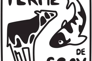 Vente de viande bovine et viande de veau de lait