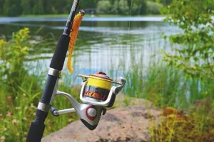 Initiation à la pêche au Black Bass