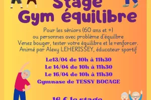 Stage gym équilibre seniors