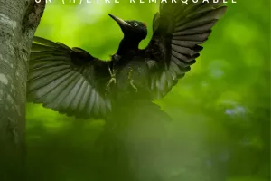 La Naute : Balade/ Ciné /échange