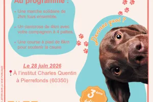 La Patte Solidaire | 3ème édition