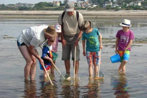 Atelier familles "A vos épuisettes ! découverte des trésors du littoral"