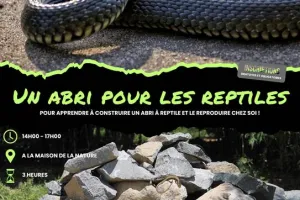 Construction d'abris à reptiles