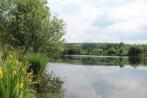 Le printemps aux tourbières