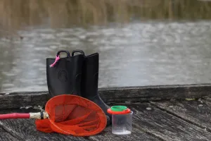 A la découverte de la mare à Terres d'Oiseaux