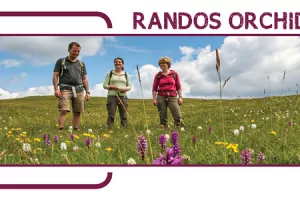 Randos Orchidées Sauvages