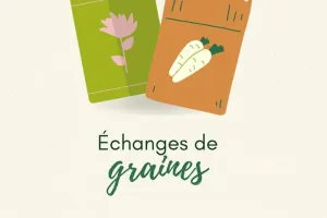 Permanence de la grainothèque à la médiathèque
