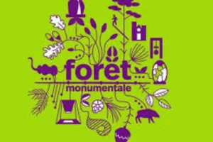 Forêt monumentale: visite