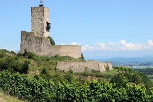 Tous aux châteaux - Journée au Wineck