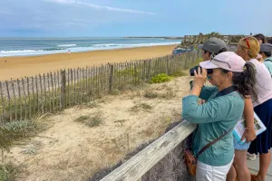 Visite guidée "A la découverte de la gestion du littoral"