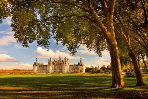 Chambord Live