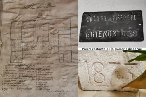 Brienon, terre de sucre
