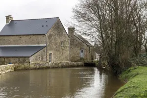 Visite du moulin et dégustation