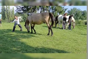 Danse libre avec et sans Cheval