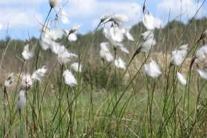 A la découverte du Pré Maudit