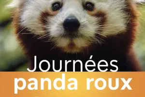 Journées Panda Roux