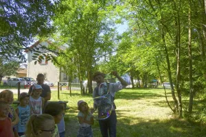 Atelier : les bulles