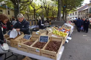 FÊTE DU TERROIR