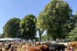 Fête de l'élevage à Mur-de-Barrez