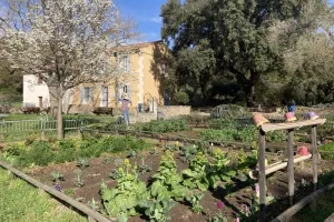 DECOUVERTE DU POTAGER