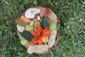 Rendez-vous aux jardins