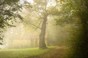 Visite commentée à Bazoches en Néerlandais