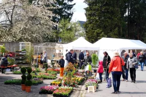 32ème Marché aux Fleurs