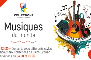 MUSIQUES DU MONDE