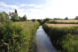 À la découverte du Marais de Contres