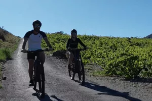 RANDONNÉE EN VTT ÉLECTRIQUE SUR LES HAUTEURS DE COLLIOURE