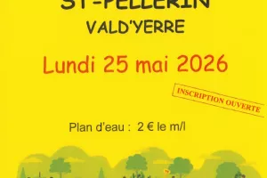 Vide-grenier