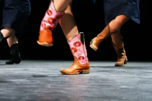 Journée country spécial débutant