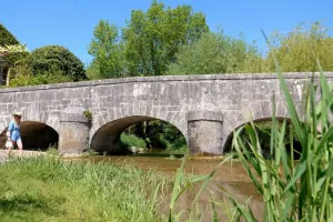 Atelier d'écriture à Rollainville