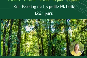 Sophro-Balade en forêt de Grimbosq
