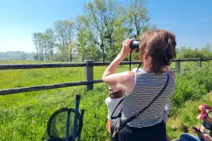 Les richesses du marais de Blonville-Villers