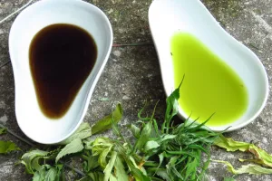 Stage de teintures végétales solaires