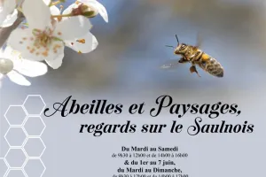 Exposition - Abeilles et paysages, regards sur le Saulnois