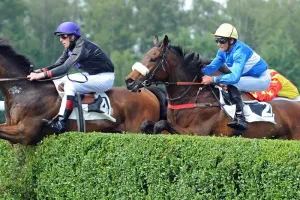 Courses hippiques