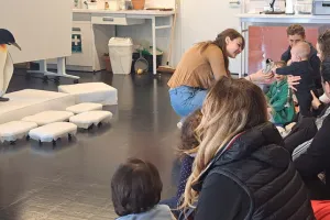 ATELIER 0-3 ANS : Une vie de manchot