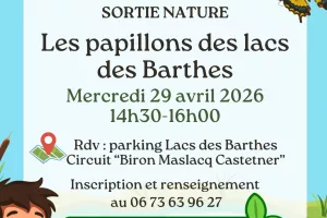 Sortie nature : Les papillons des lacs des Barthes