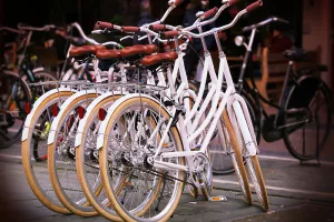 Visite à vélo : Les jardins historiques