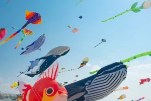 SORTIE BERCK "LES CERFS VOLANTS"