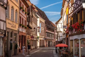 Art & Co anime Wissembourg