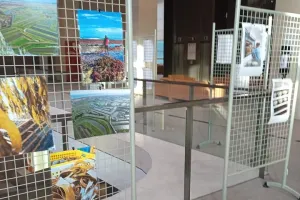 Exposition - Ma Région en Image