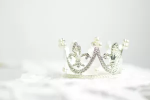 Élection de Mademoiselle Limousin