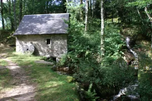 Balade et repas d'Automne