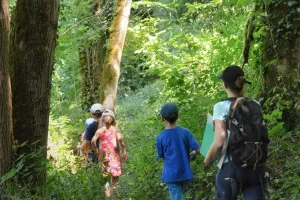 Randonnée commentée : Le long de la Cure entre rivière, forêt et bocage
