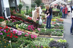Marché aux fleurs, Artisanat et Saveurs du terroir
